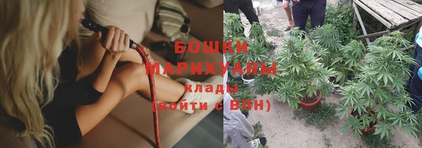ALPHA PVP Белокуриха
