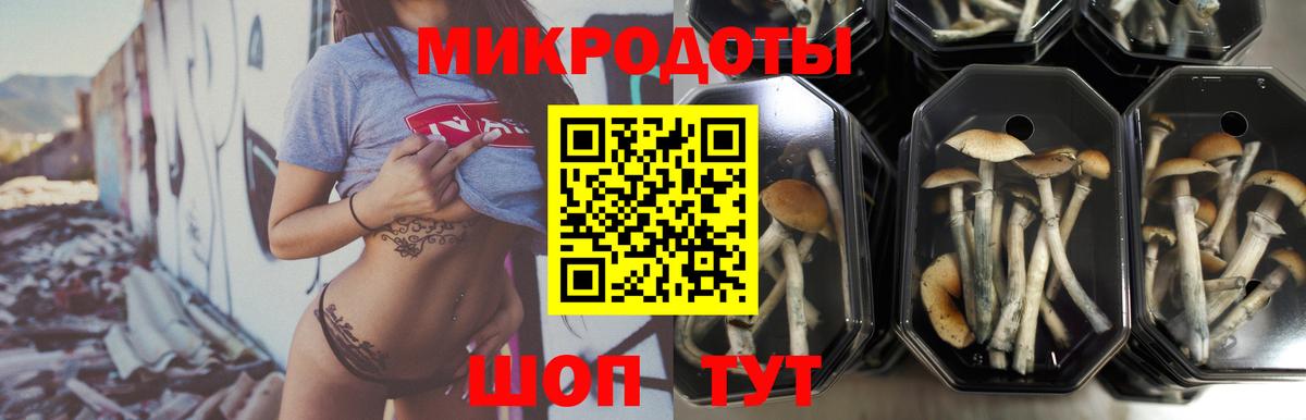 Псилоцибиновые грибы прущие грибы  Вход с VPN  Улан-Удэ  Галлюциногенные грибы Magic Shrooms 
